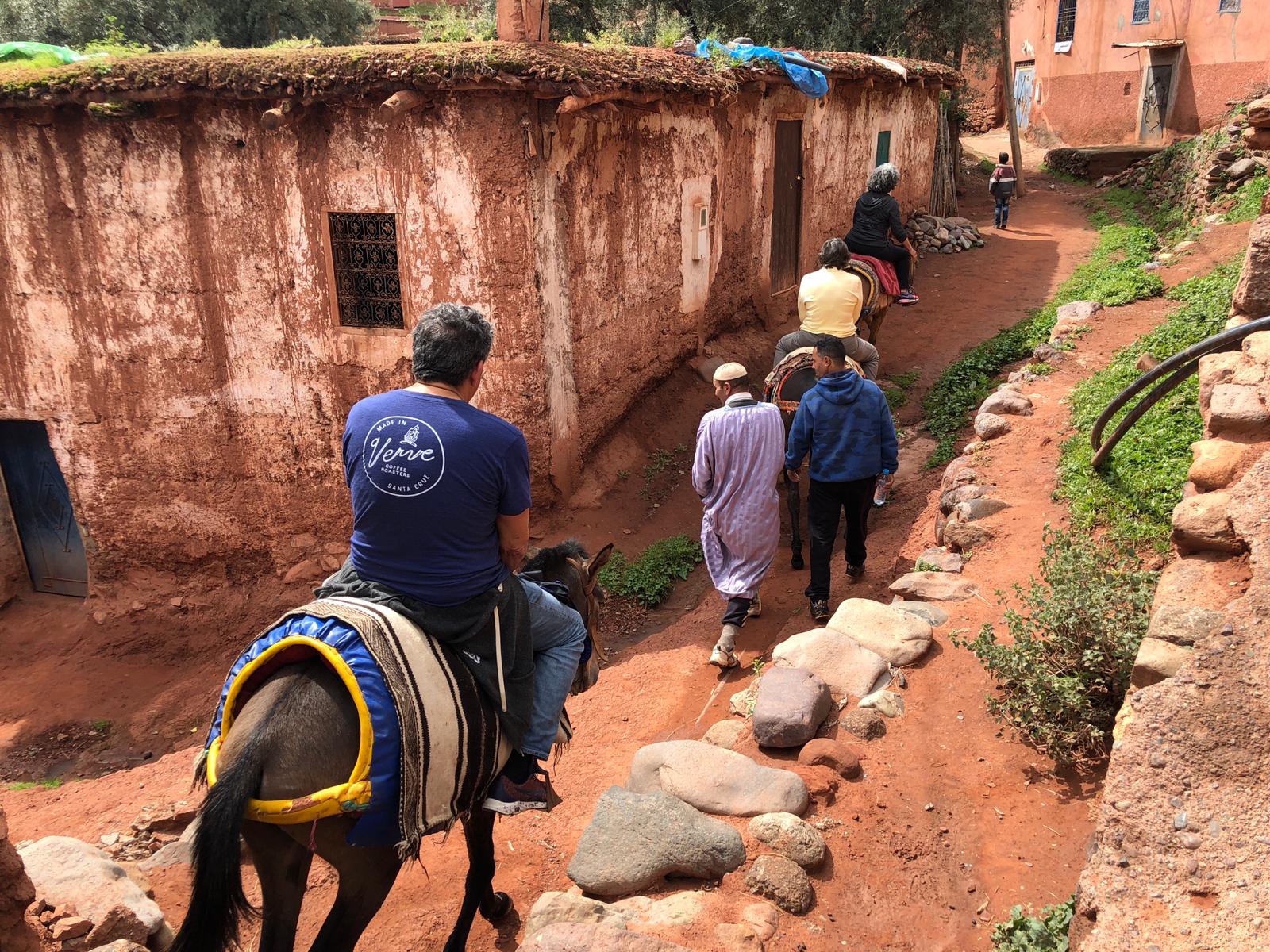 Berber-Journey-Trekking-Exploring